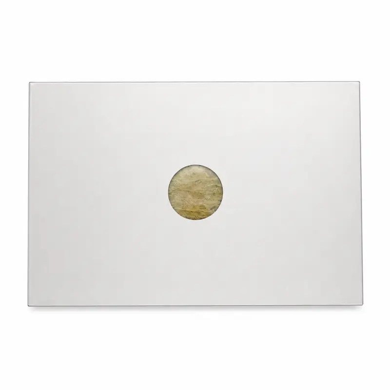 Rockwool cleanroom panel